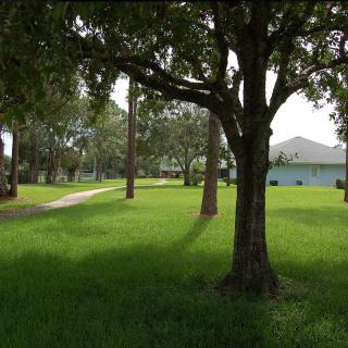 A tranquil park scene with trees providing shade over lush green grass and a pathway leading to nearby houses.