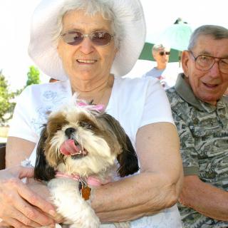 An elderly couple sitting outdoors with a small dog in the woman's lap.