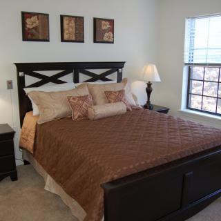 A well-decorated bedroom featuring a large bed with brown bedding, a bedside lamp, and framed artwork on the wall.