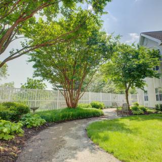 A tranquil garden pathway lined with trees and greenery, enclosed by a white fence.