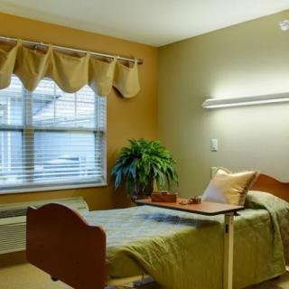 A well-lit hospital room with a bed, window, and a plant.