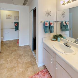 A well-lit bathroom with a sink, mirror, and decorative elements.