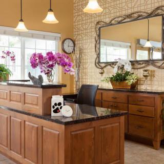 A well-designed kitchen interior featuring wooden cabinets, a granite countertop, and decorative orchids.