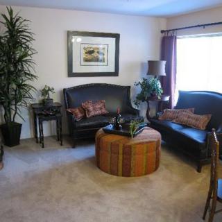 A cozy living room with stylish furniture and decorative plants.