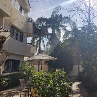 A sunny courtyard with palm trees and patio furniture outside an apartment building.