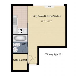 Floor plan of an efficiency apartment showing a combined living, bedroom, and kitchen area with a walk-in closet and bathroom.