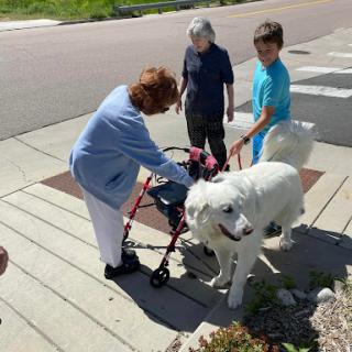 An elderly woman interacts with a large dog while two children watch, enjoying a sunny day outdoors.