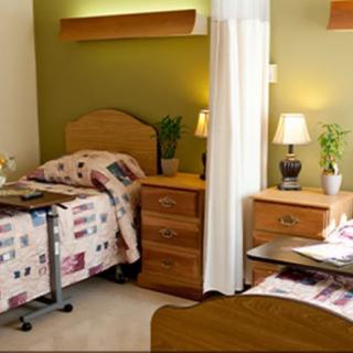A shared bedroom with two beds, nightstands, lamps, and decorative plants.
