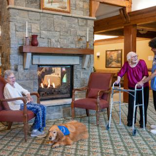 Seniors enjoying a relaxing moment by the fireplace with a friendly dog.