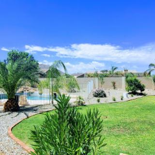 A beautiful outdoor space featuring a pool, lush greenery, and clear blue skies.