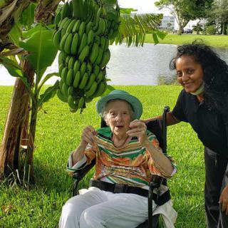 An elderly person in a wheelchair enjoys the outdoors next to a banana tree, accompanied by a caregiver.
