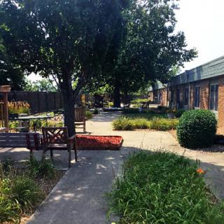 A serene outdoor area with benches and lush greenery, perfect for relaxation.
