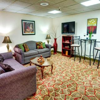 A cozy living room with two sofas, a coffee table, a television, and decorative elements like lamps and artwork on the walls.