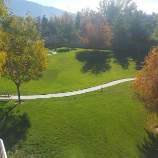 A scenic park with a winding pathway surrounded by grass and trees in autumn colors.