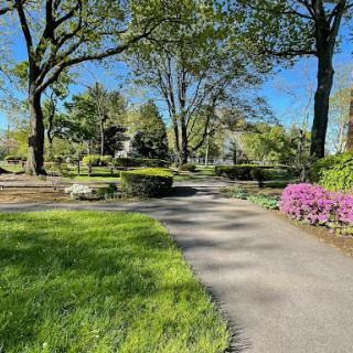 A serene park pathway surrounded by lush greenery and blooming flowers.