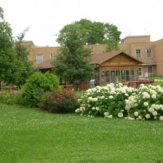A serene garden with lush greenery and blooming flowers surrounding a rustic building.