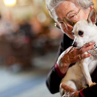 An elderly woman joyfully holds her small dog indoors.