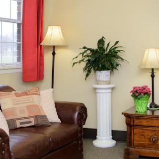 A cozy living room setup featuring a leather couch, decorative lamps, and plants.