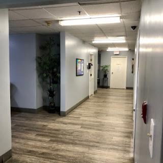 A well-lit office hallway with wooden flooring and a decorative plant.