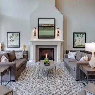 A modern living room with stylish gray sofas, a central fireplace, and elegant artwork.