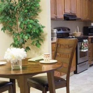 A cozy kitchen and dining area featuring a small table with chairs, a decorative indoor plant, wooden cabinets, and modern appliances.