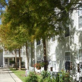 A tree-lined sidewalk in front of an apartment building on a sunny day.