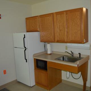 Compact kitchen with wooden cabinets, a refrigerator, a microwave, and a sink.
