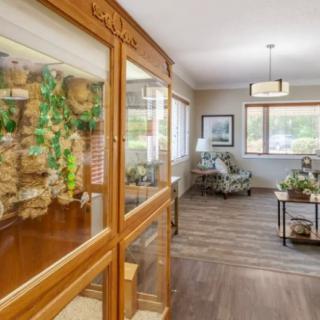 A modern waiting room with wooden furnishings and abundant natural light.