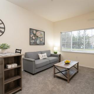 A cozy living room with a grey sofa, coffee table, and decorative elements.