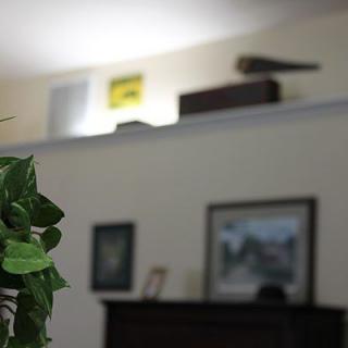 A cozy interior featuring a leafy plant, framed artwork, and decor on a shelf.