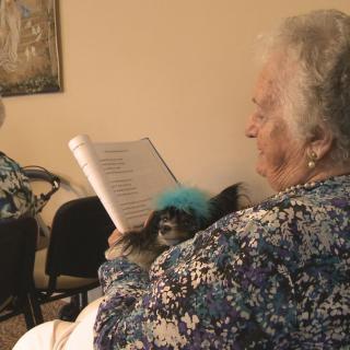 An elderly woman reading indoors with a small dog on her lap.