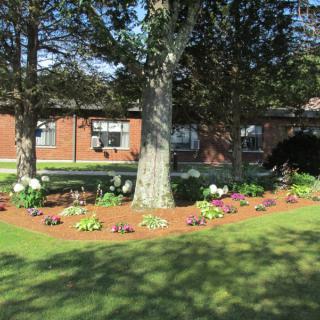 Bayberry Commons