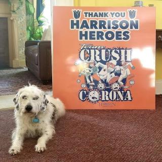 A grateful shoutout to the Harrison Heroes, accompanied by a furry friend!