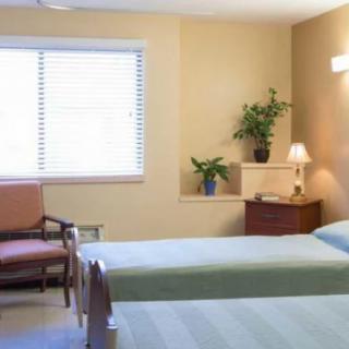 A tidy bedroom with twin beds, a window, and simple furnishings including a lamp and plants.