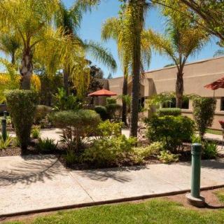 A well-maintained garden with palm trees and a sunny patio area.