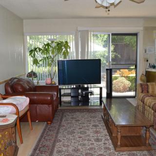 A cozy living room featuring a large television, leather chairs, a sofa, coffee table, and indoor plants with ample daylight streaming through the windows.