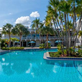 A beautiful resort pool surrounded by palm trees on a sunny day.