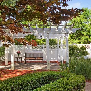 A peaceful garden with a white pergola, bench, and lush greenery.