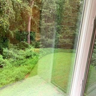 A serene view of a lush green garden and forest from a window.