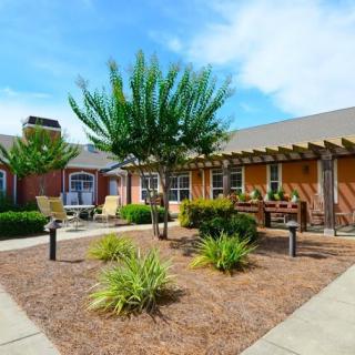 A sunny courtyard with a pergola, benches, and well-maintained landscaping.