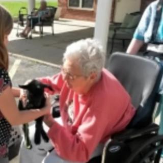 An elderly person in a wheelchair is petting a small animal outdoors.