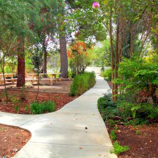 A serene park pathway surrounded by lush greenery.