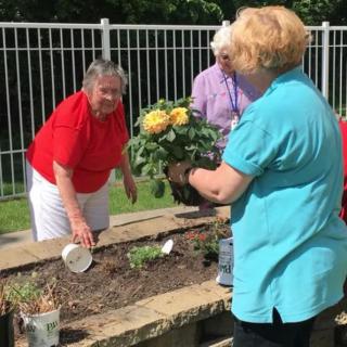 A group of seniors gardening together outside, planting flowers in a raised garden bed.