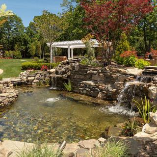 A tranquil garden with a pond and waterfall surrounded by lush greenery.