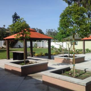 A landscaped outdoor area featuring gazebos and trees.