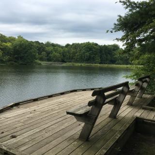 A tranquil view of a lake with benches on a wooden deck surrounded by lush greenery.