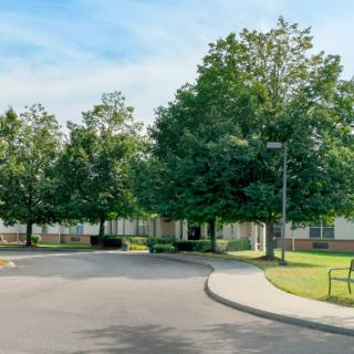 A peaceful outdoor scene with a road leading to a building surrounded by trees.