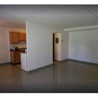 An unfurnished apartment interior showcasing an open living area connected to a small kitchen.