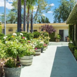 A sunny walkway lined with potted plants and greenery, leading to a building.