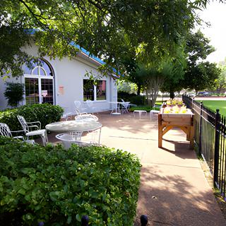 A serene outdoor patio area with tables and chairs surrounded by lush greenery and trees.